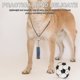 thumbnail image 1 of Milisten 2Ud Silbato Para Entrenamiento De De Inoxidable Con Llavero Multifuncional, 1 of 8