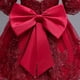 thumbnail image 4 of Bebé Niña Vestido Bordado Niños Vestidos 1er Cumpleaños Fiesta Bautizo Princesa Tul Flor Para Boda 1-5Y, 4 of 4