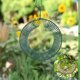 thumbnail image 4 of Comedero para pájaros con corona colgante - Atractiva decoración de jardín al aire libre - Diseño duradero y resistente a la intemperie - Fácil de llenar y limpiar - Amplia estación de alimentación, 4 of 5