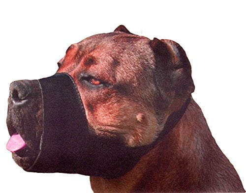 large dog muzzle near me