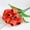 F, variant on Artificial Tulips Soft Fake Tulip Bouquets for Kitchen Tulip Centerpiece Flower Tulip Themed Decorations Bouquet A 9-Headed Tulip Artificial Decorative Fake Flower White (1Pcs)