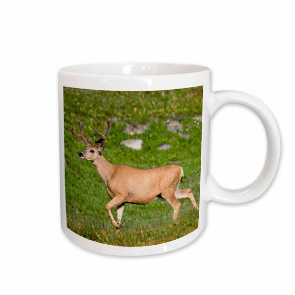 3drose, Mule Deer Bucks, Logan Pass, Glacier Np, Montana - Us27 Cha1107 - Chuck Haney, 11oz Mug