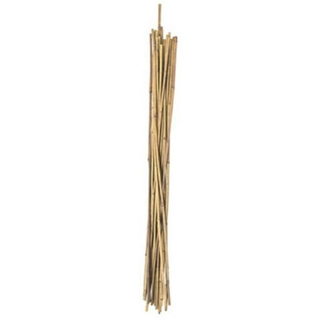 Panatela Pack - 25 Pack 2' Natural Bamboo Stakes, Panacea, 89781