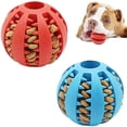 thumbnail image 4 of Pelota interactiva elástica para perros pequeños, juguete masticable para cachorros, Limpieza de dientes, Bola de comida de goma, accesorios para mascotas, 4 of 4
