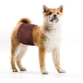thumbnail image 4 of Couches Lavables pour Chiens (3 Pack) Bande de Ventre Réutilisable pour Chiens, Forte Absorption d'Eau et Sans Fuite, Couches Ajustables Confortables et Durables pour Chiots, 4 of 6