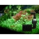 thumbnail image 5 of 2x Bomba de aire Betta Fry Acuario de Caída de agua Filtros de esponja de espuma doble - Gloria Filtro de agua de esponja, 5 of 9