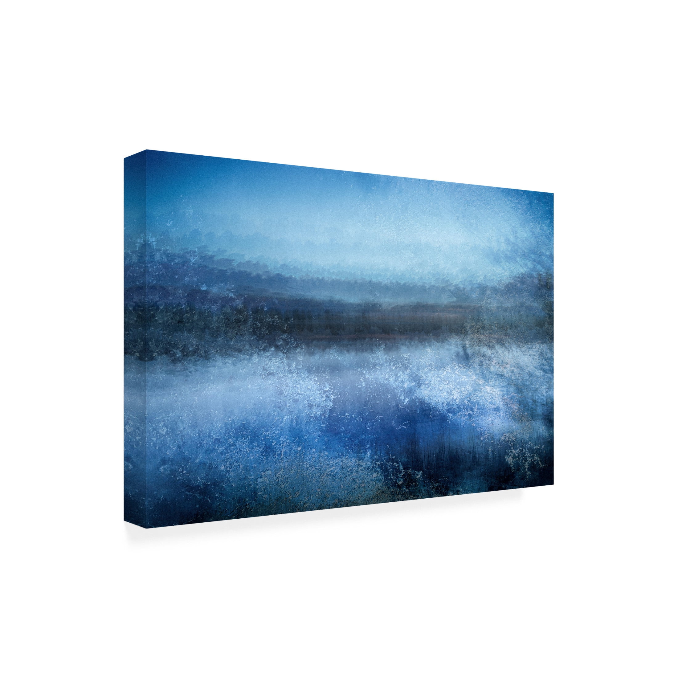 Canvas Wall Art - Cicek Kiral 'Winter Is Cold As Ice' Wall Art for Living Room, Bedroom, or Office Décor by Trademark Fine Art - 19 x 12 Inches