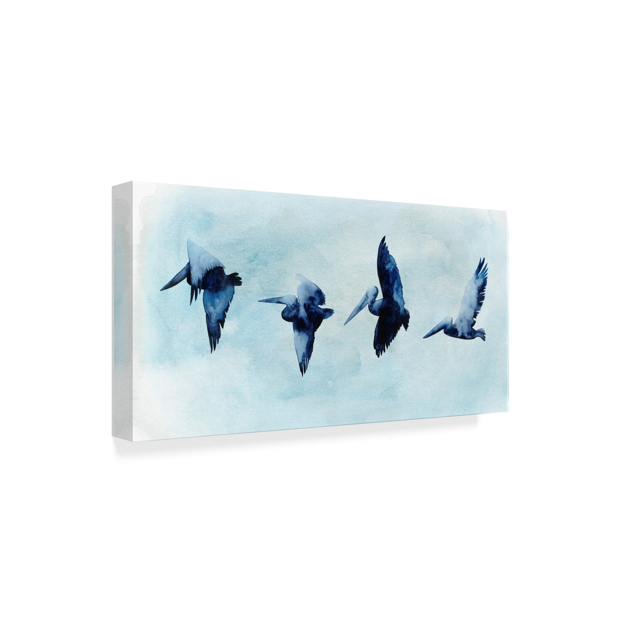 Trademark Fine Art 'Coastal Covey I' Canvas Art by Grace Popp