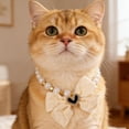 thumbnail image 4 of Elegante collar para mascotas con perlas, cadena metálica ajustable, hebilla segura, diseño atemporal para gatos y perros pequeños y medianos, paseos diarios, adorno para el hogar, 4 of 4