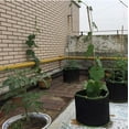 thumbnail image 3 of Bolsas de cultivo para plantas, macetas de tela, bolsas de vivero con asas, bolsas para sembrar plantas (5 galones/18,75 L), 3 of 5