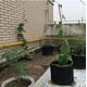 thumbnail image 3 of Bolsas de cultivo para plantas, macetas de tela, bolsas de vivero con asas, bolsas para sembrar plantas (5 galones/18,75 L), 3 of 5