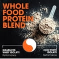 thumbnail image 4 of Protein Powder Genius Vanilla Dual Protein Blend, 1,1 libras, 4 of 8
