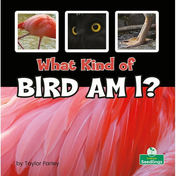 What Kind of Bird Am I?, (Paperback)