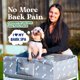 thumbnail image 2 of Bañera para perros Bark Spa plegable y portátil con cepillo y toalla, 2 of 8