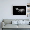 thumbnail image 3 of Trademark Fine Art 'Hello Highland Cow' Canvas Art by PhotoINC Studio, 3 of 3
