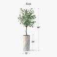 thumbnail image 5 of Artificial Tree in Modern Granite Effect Planter, Fake Eucalyptus Silk Tree for Indoor and Outdoor Home Decoration - 66" Overall Tall (Plant Pot Plus Tree), 5 of 5