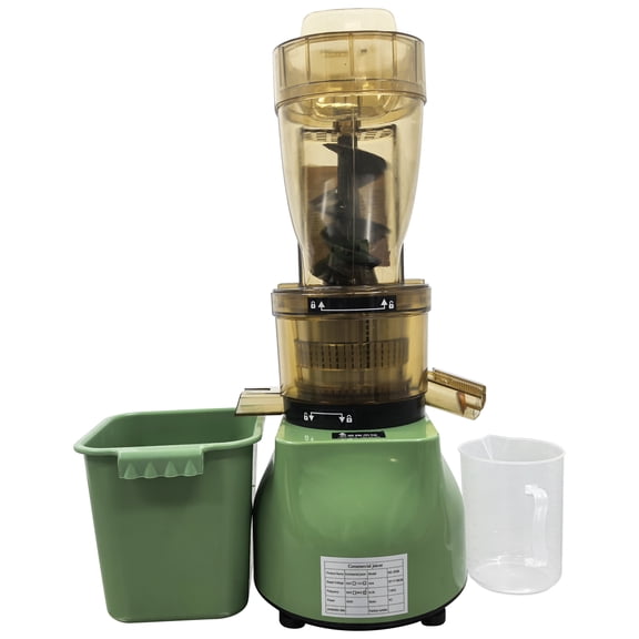 Commercial Juice Extractor Ginger Carrot Fruit and Vegetable Juicer 110V