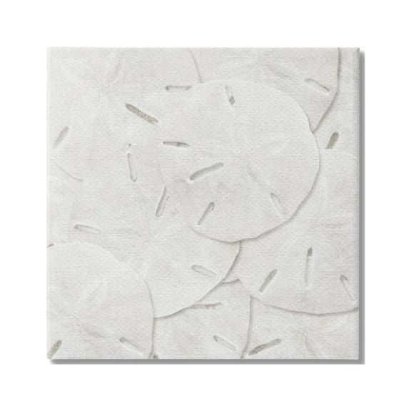 Stupell Industries Nautical Sand Dollars Animals & Insects Painting Gallery Wrapped Canvas Print Wall Art, 17 x 17