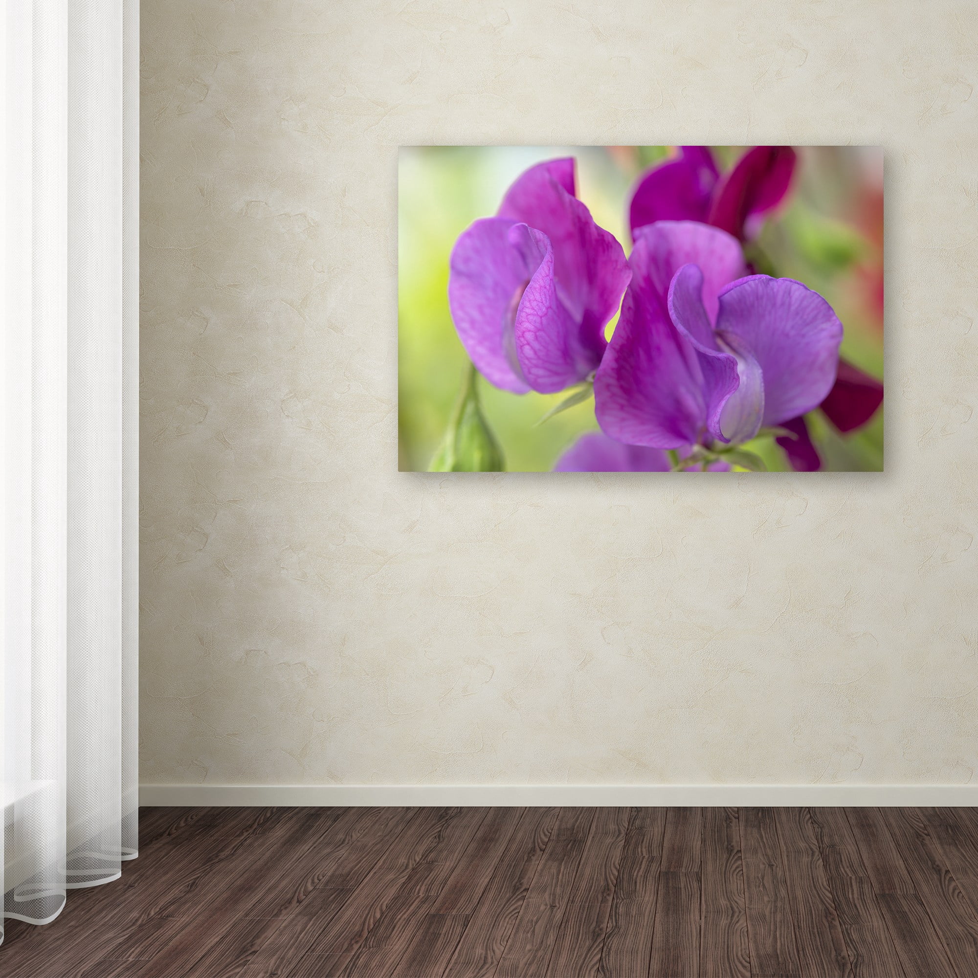 Trademark Fine Art 'Two Sweet Pea Flowers' Canvas Art by Cora Niele