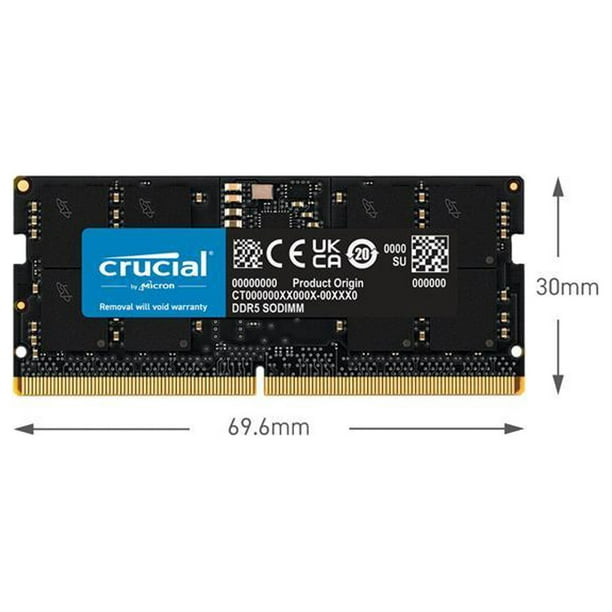 Crucial 16GB DDR5 SDRAM Memory Module - Walmart Business Supplies