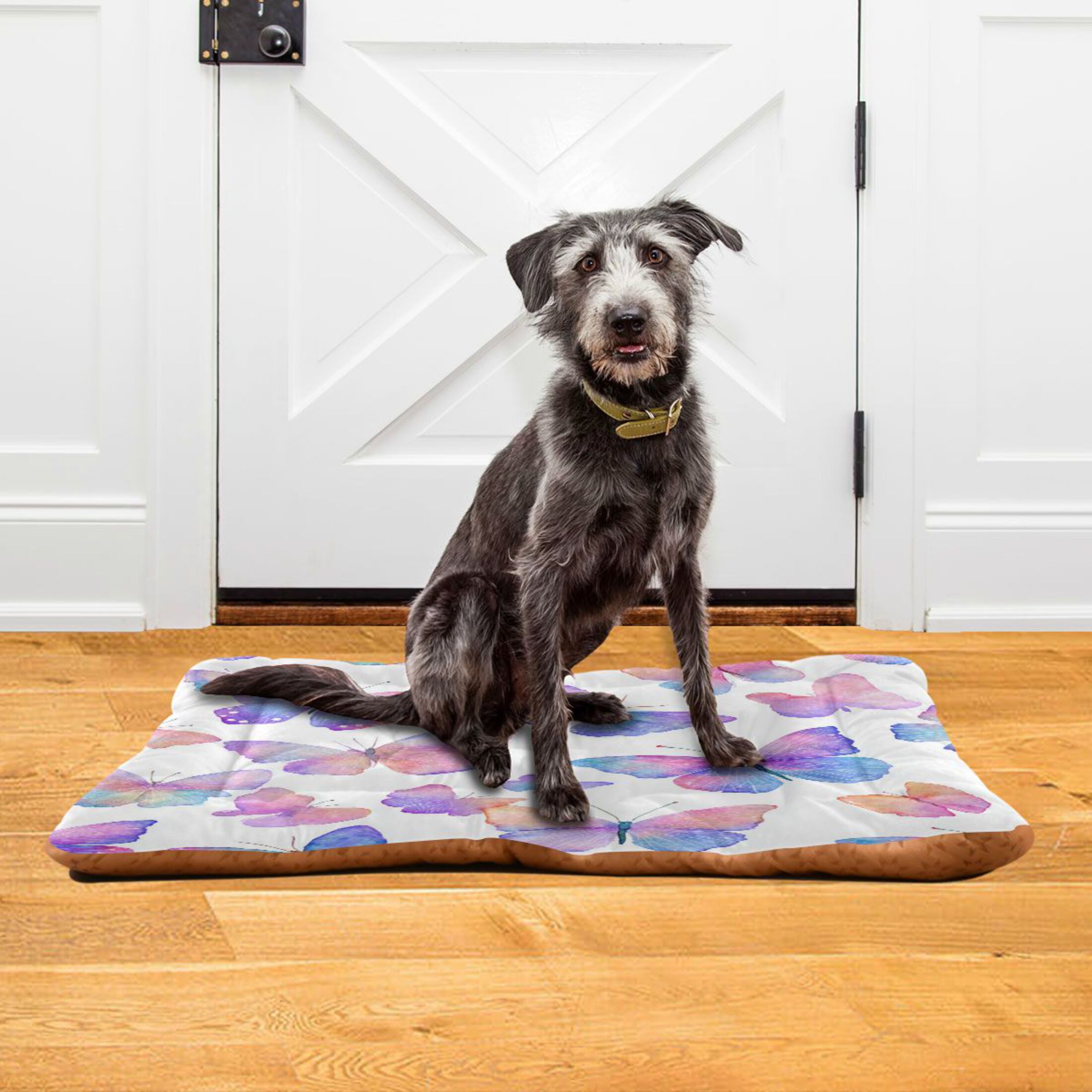 Qxltty Colorful Butterflies Ped Pad Wear-resistant and Hard to Bite Through Sleeping Pad for Small Medium Large Dogs Winter Pet Bed 36×24in