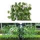 thumbnail image 1 of Pantal de Privacidad de Enrejado de de ín Retráctil con Artificial Decoración de Patio de ín Interior Al Hojas perennes CUTICAT Valla retráctil, 1 of 8