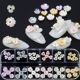 thumbnail image 2 of 60 piezas Flor Mariposa Nail Art Charms Glitter Calcomanías Decoración 3D Nail Flower Diseño plano Acrílico Nail Art para mujeres DIY Manicura Joyería Salón Accesorios de uñas Suministros Xemadio HMHZ355-2, 2 of 2