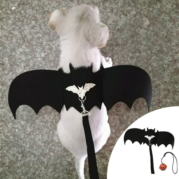 Bat wing clearance harness for dogs