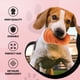 thumbnail image 4 of Juguetes de Peluche Dog Diggin Designs Nouveau en Beige y Marrón con Sonido para Perro, 4 of 6