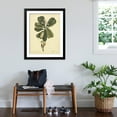 thumbnail image 3 of Art.com Catesby Bird & Botanical III Art Print by Mark Catesby, Black Frame Wall Art, 32" x 40", 3 of 5