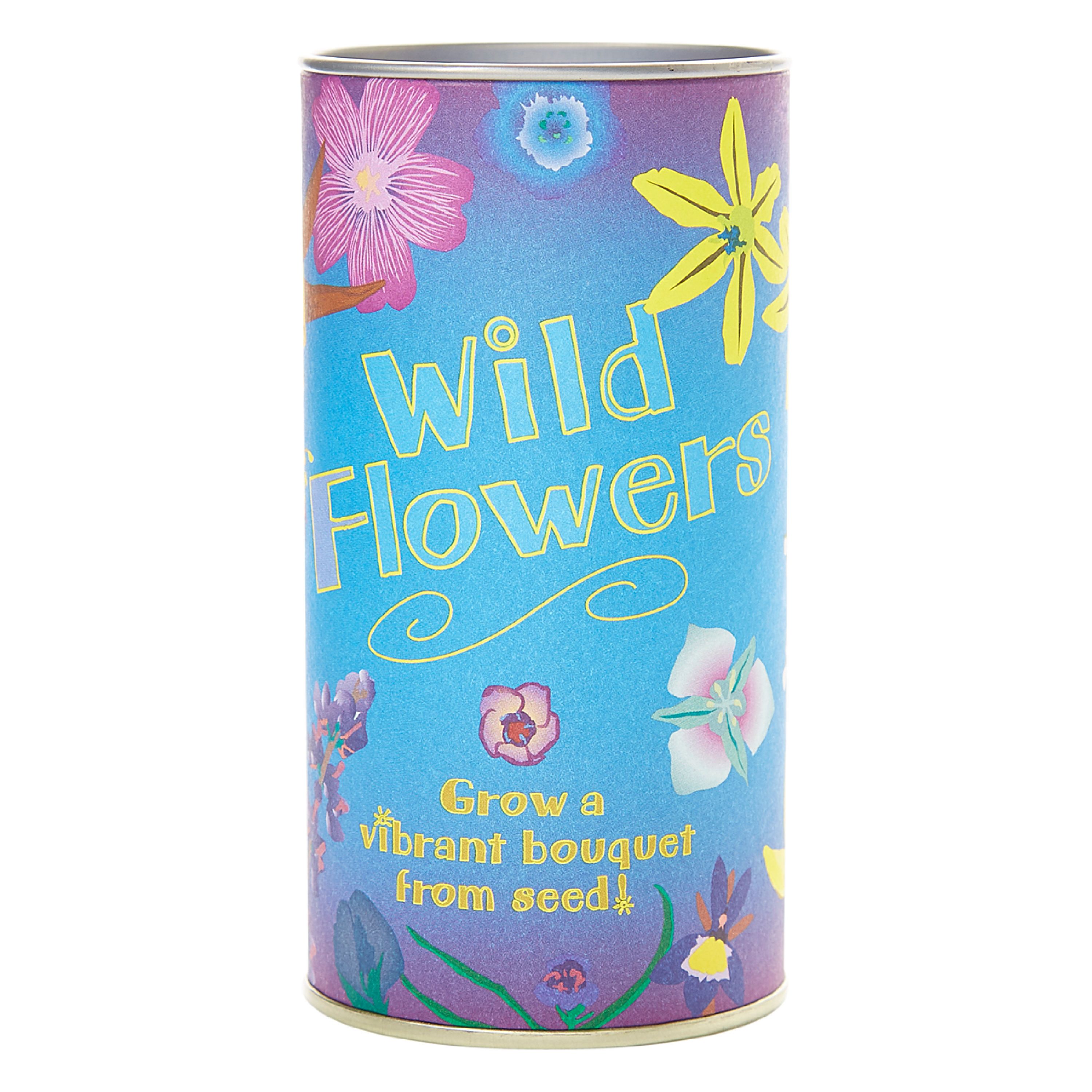 Wildflower Mix Flower Seed Grow Kit The Jonsteen Company