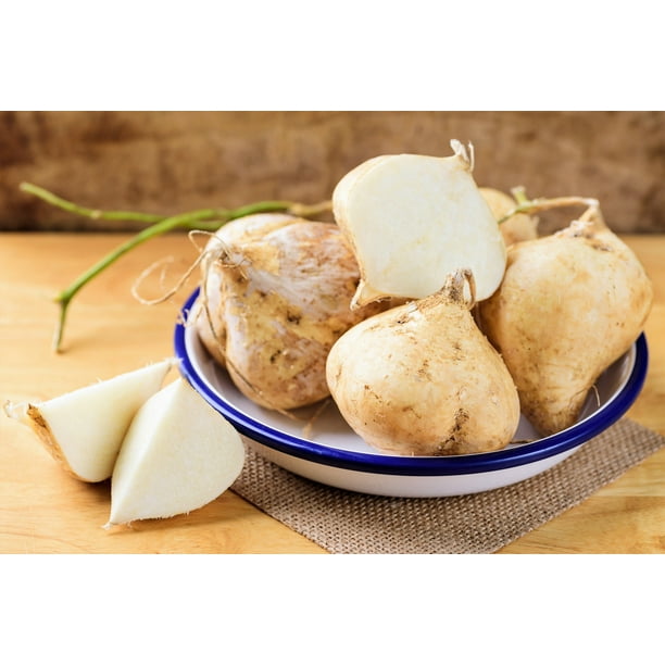 20 JICAMA Mexican Yam Bean Potato Bean Pachyrhizus Erosus Vining Legume