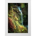 thumbnail image 1 of Murdock, Ramona 17x24 White Modern Wood Framed Museum Art Print Titled - Black Forest Lower Falls, 1 of 4