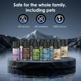 thumbnail image 4 of Car Air Freshener, 5 Scents, 10 Refills, Smart car Air Freshener for Vent Clips, Auto On/Off, Three Spray Modes, Car Fresheners Long Lasting (1Pack), 4 of 8