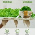 thumbnail image 4 of Sponge Block Plug Rock Stonewool Hydroponic Grow Media Cubes Soilless Substrate Seedling Plant Cubes Growing100 Tablets, 4 of 5