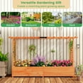 thumbnail image 7 of Barara King Vegetables Flowers Fruits Herb Garden Box,Raised Garden Bed with Side Trellis Hanging Roof and Planter Box-Orange, 7 of 7
