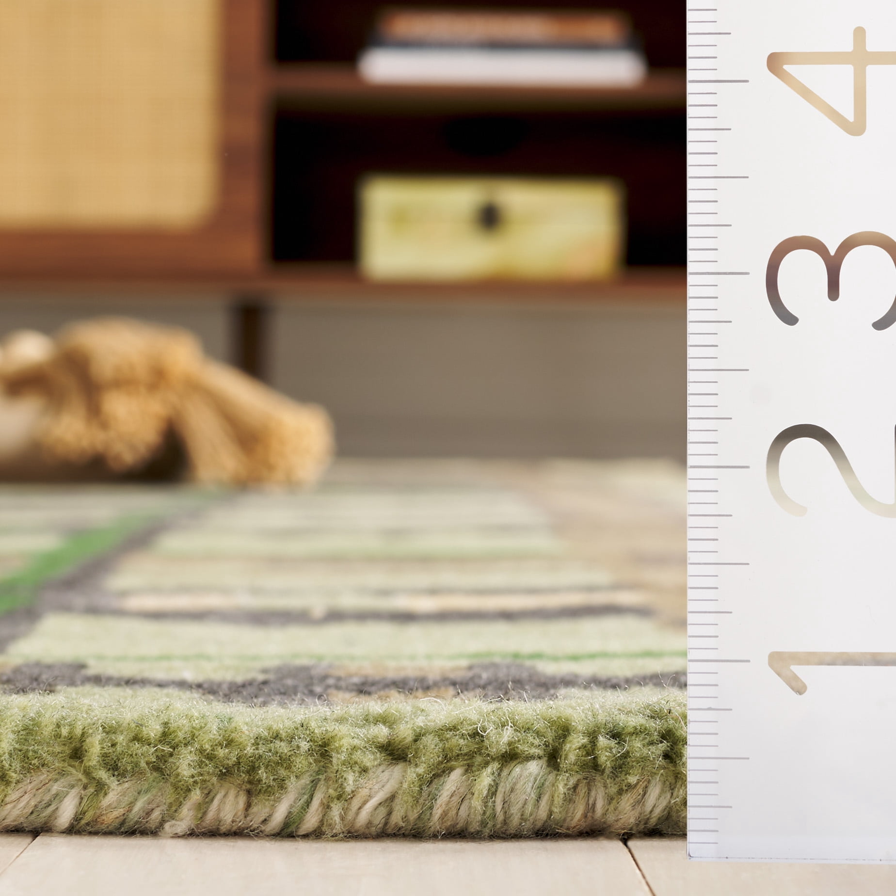 SAFAVIEH Rodeo Drive Vonda Abstract Area Rug, Green/Purple, 6' x 6' Round