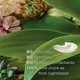 thumbnail image 4 of Fitglow Beauty - Corrector natural + total | Belleza limpia vegana propiedad de una mujer (C1 - Tonos neutros justos), 4 of 5