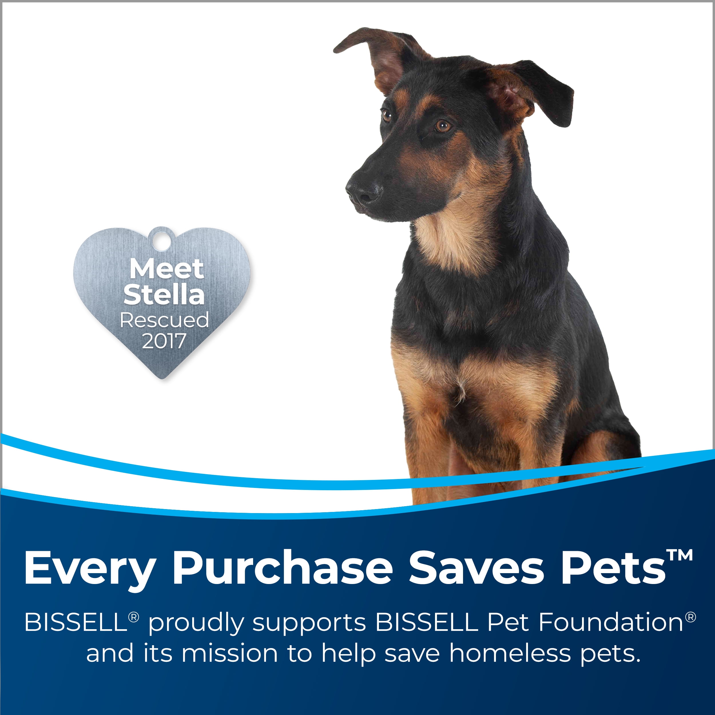 BISSELL Powerforce Powerbrush Pet XL Carpet Cleaner, Philippines Ubuy