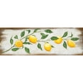 thumbnail image 3 of Hollihocks Art 24x11 Black Modern Framed Museum Art Print Titled - Lemon Branch, 3 of 5