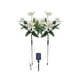 thumbnail image 2 of Solar Flower Lights Outdoor, Solar Flowers Garden Decorative Lights Led Stake Lights Auto On/Off Bright Up To 8 Hrs, 2 of 6