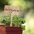 thumbnail image 3 of 20Pcs Bamboo Plant Flower Succulents Labels Tags Garden Nursery Pots Markers, 3 of 9