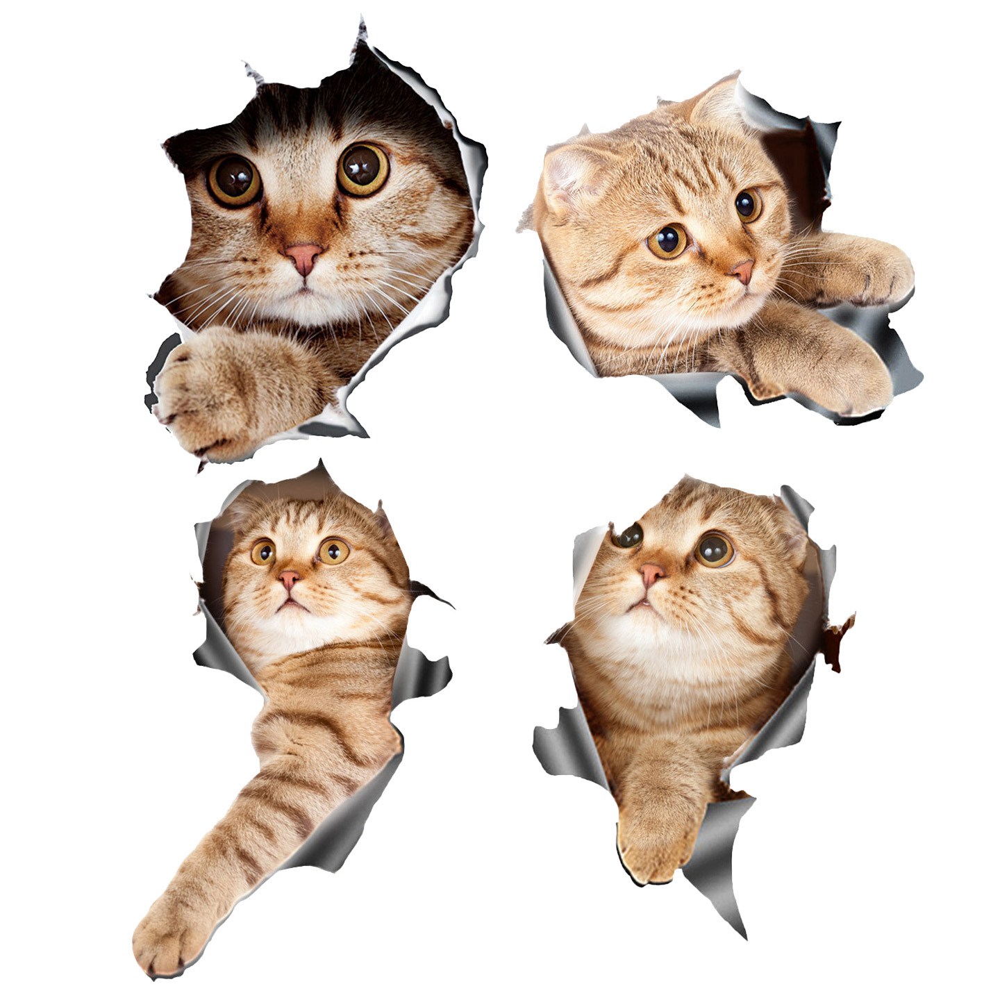 3D Cat Car Decal Add Some Humor to Your Commute