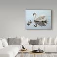 thumbnail image 3 of Trademark Fine Art 'Mute Swan And Two Cygnets' Canvas Art by Ron Parker, 3 of 3