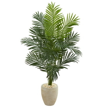 Nearly Natural 5.5' Paradise Palm Artificial Tree in Sand Colored Planter, Green