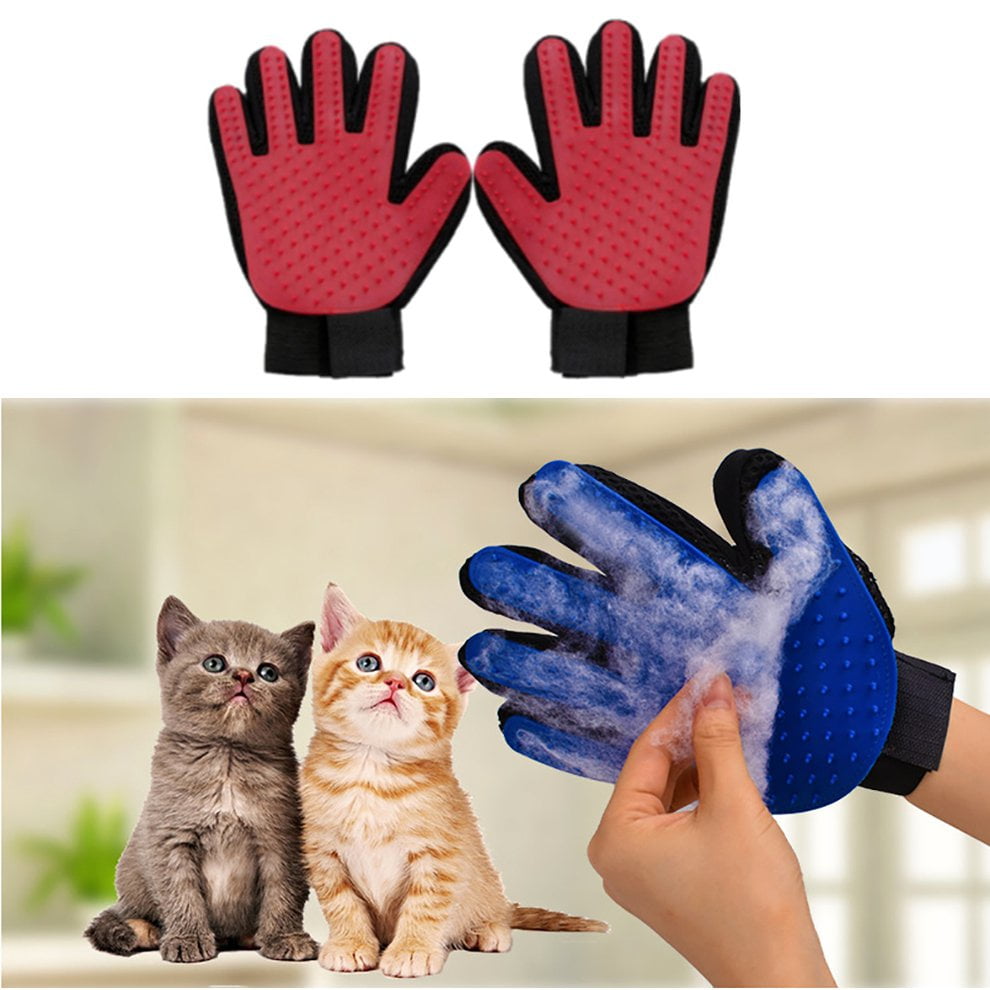 cat grooming supplies