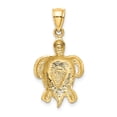 thumbnail image 3 of 14K Yellow Gold Charm Pendant Themed Open Back Textured Opal, Lab Created Phenomena 28 mm 14, 3 of 4