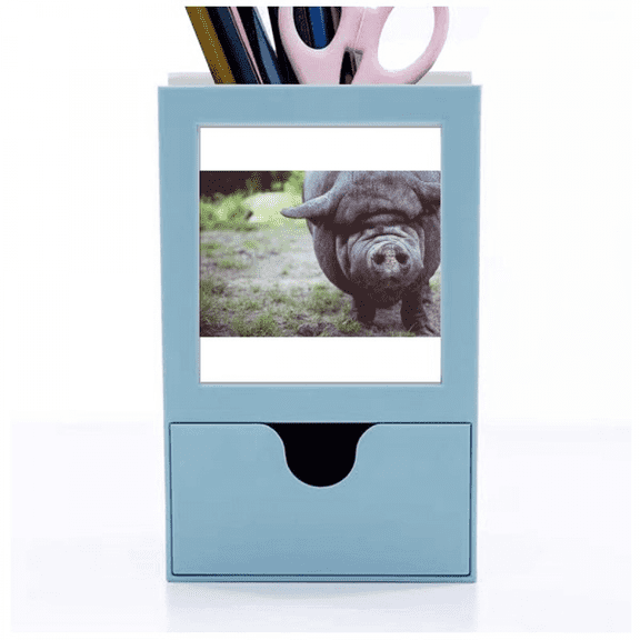 m Animal Photography Desk Supplies Organizer Pen Holder Card
