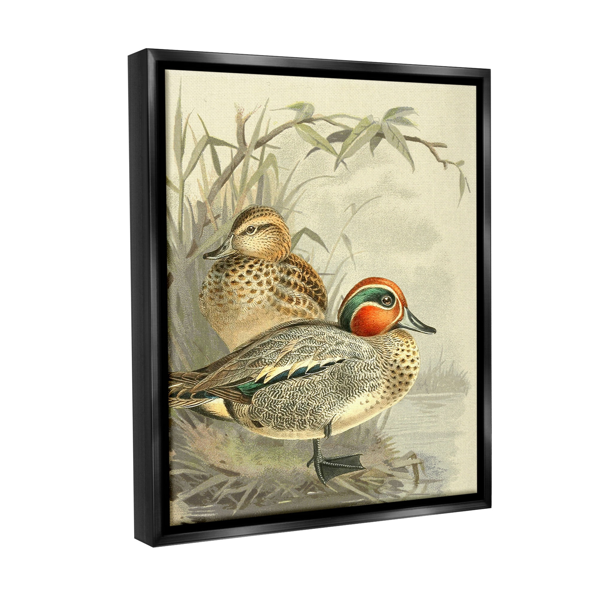 Stupell Industries Ducks with Pond Botanicals Animals & Insects Painting Black Floater Framed Canvas Art Print Wall Art, 25 x 31