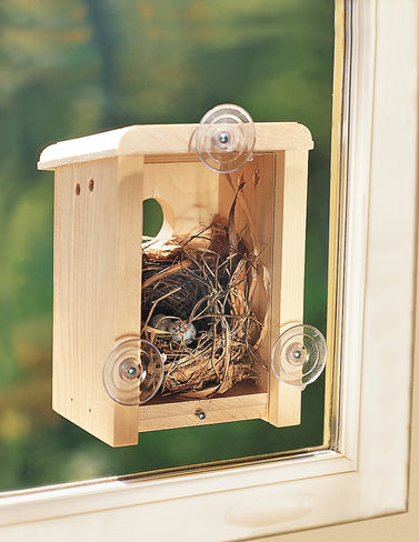 Coveside 10010 Window Nest Box Birdhouse by Coveside Conservation Products